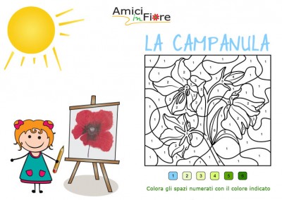 Colora la Campanula