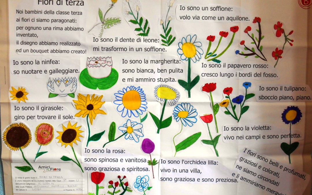 Fiori di terza