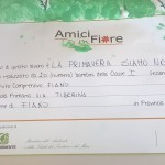 FIANO