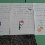 TESTO DEF