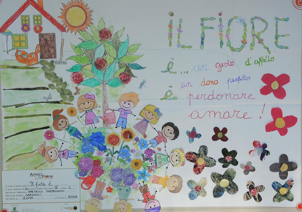 Il fiore è…