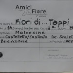 AMICI IN FIORE 3B (4)