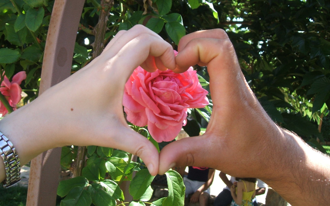 Una rosa è per sempre