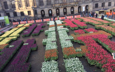 Piazza di fiori