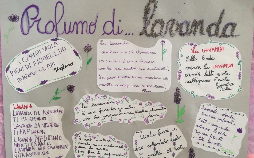 Profumo di lavanda