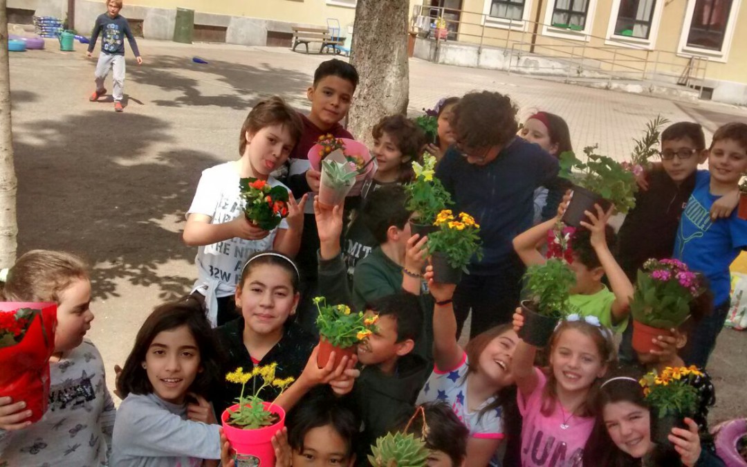 La nostra scuola in fiore della classe III C – Scuola “G. Capponi”