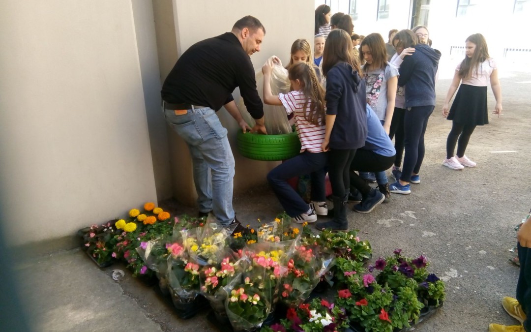 La nostra scuola in fiore della classe V A/C – Scuola “G. Capponi”